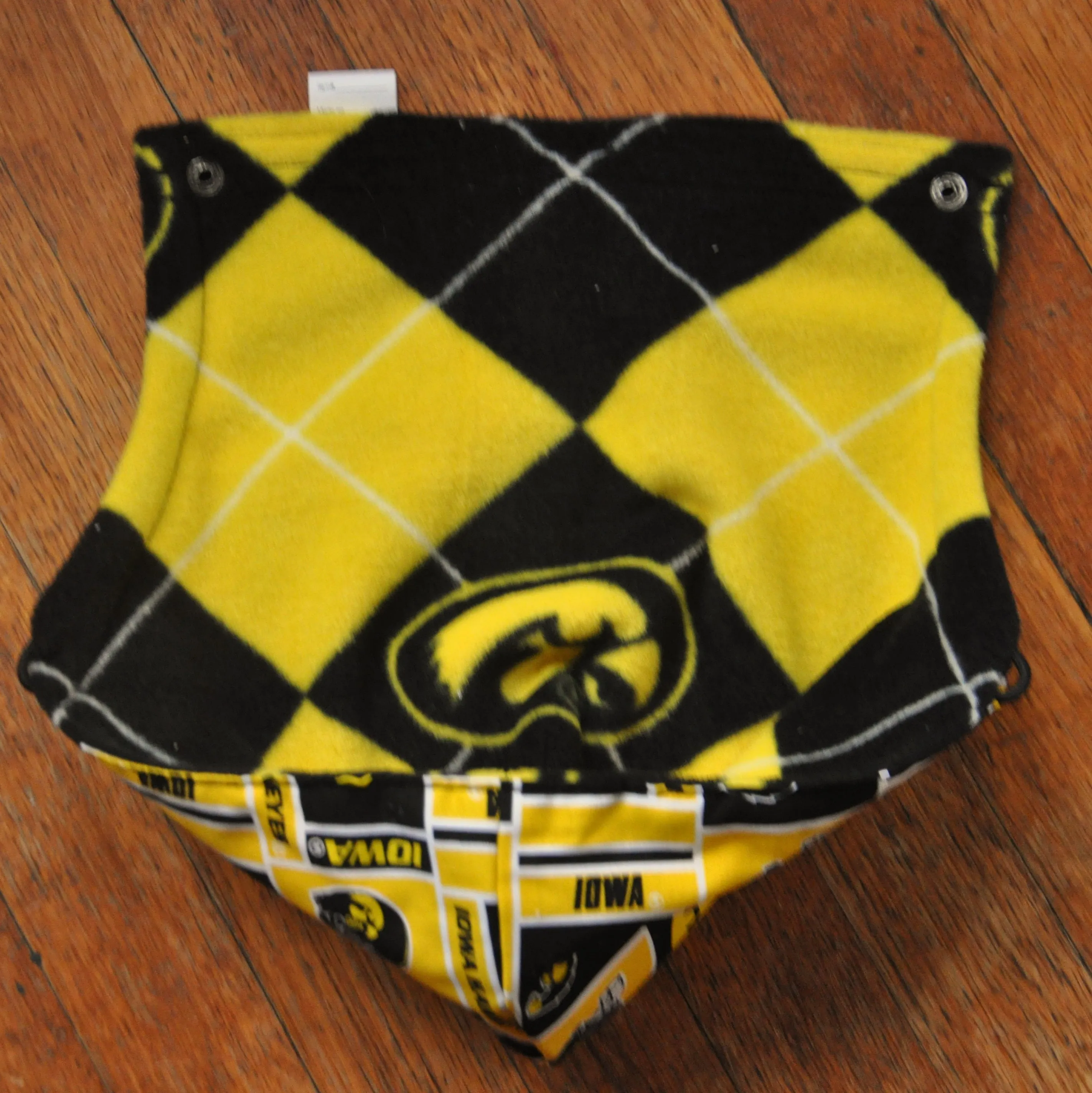 University of Iowa Hoodie Tula Hood