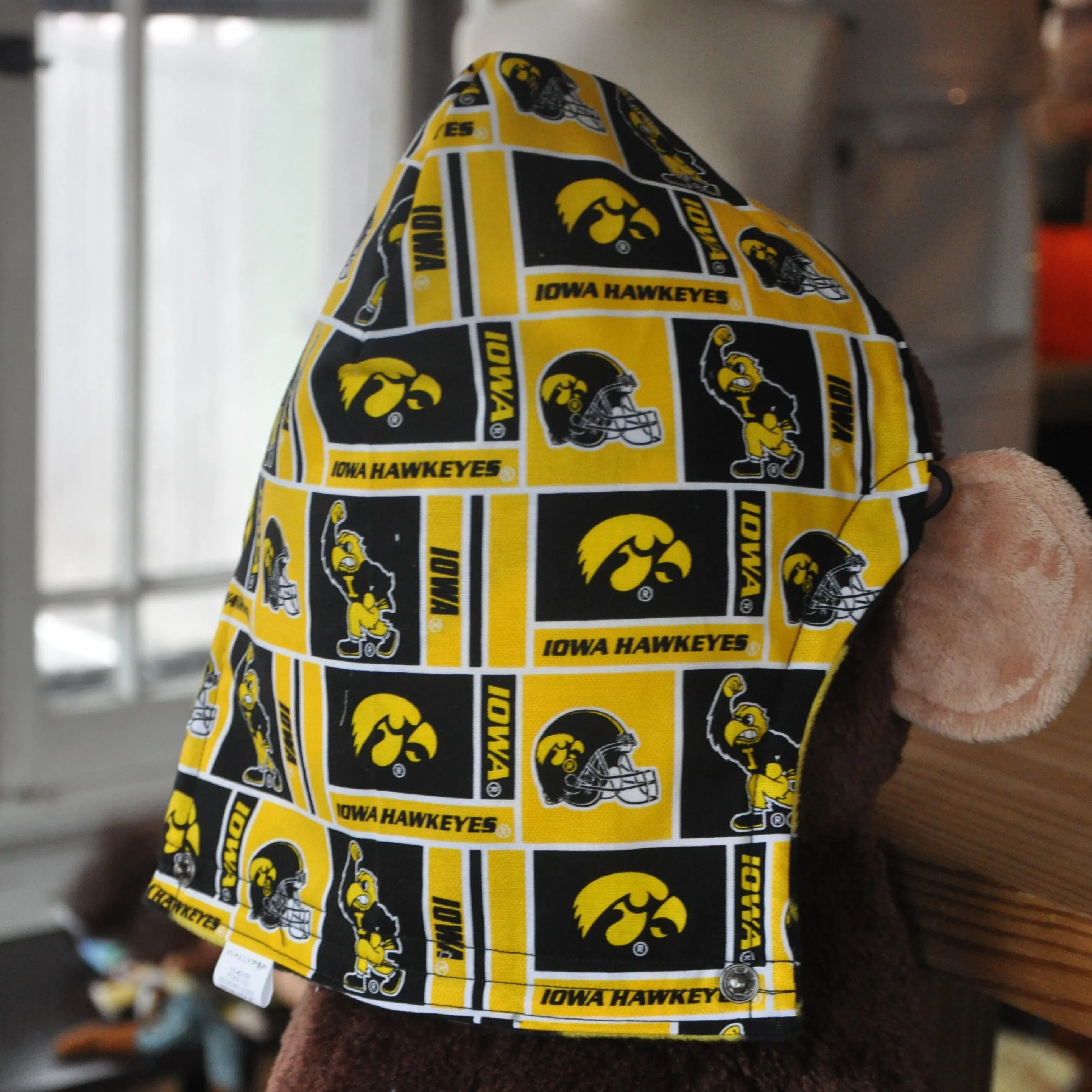 University of Iowa Hoodie Tula Hood